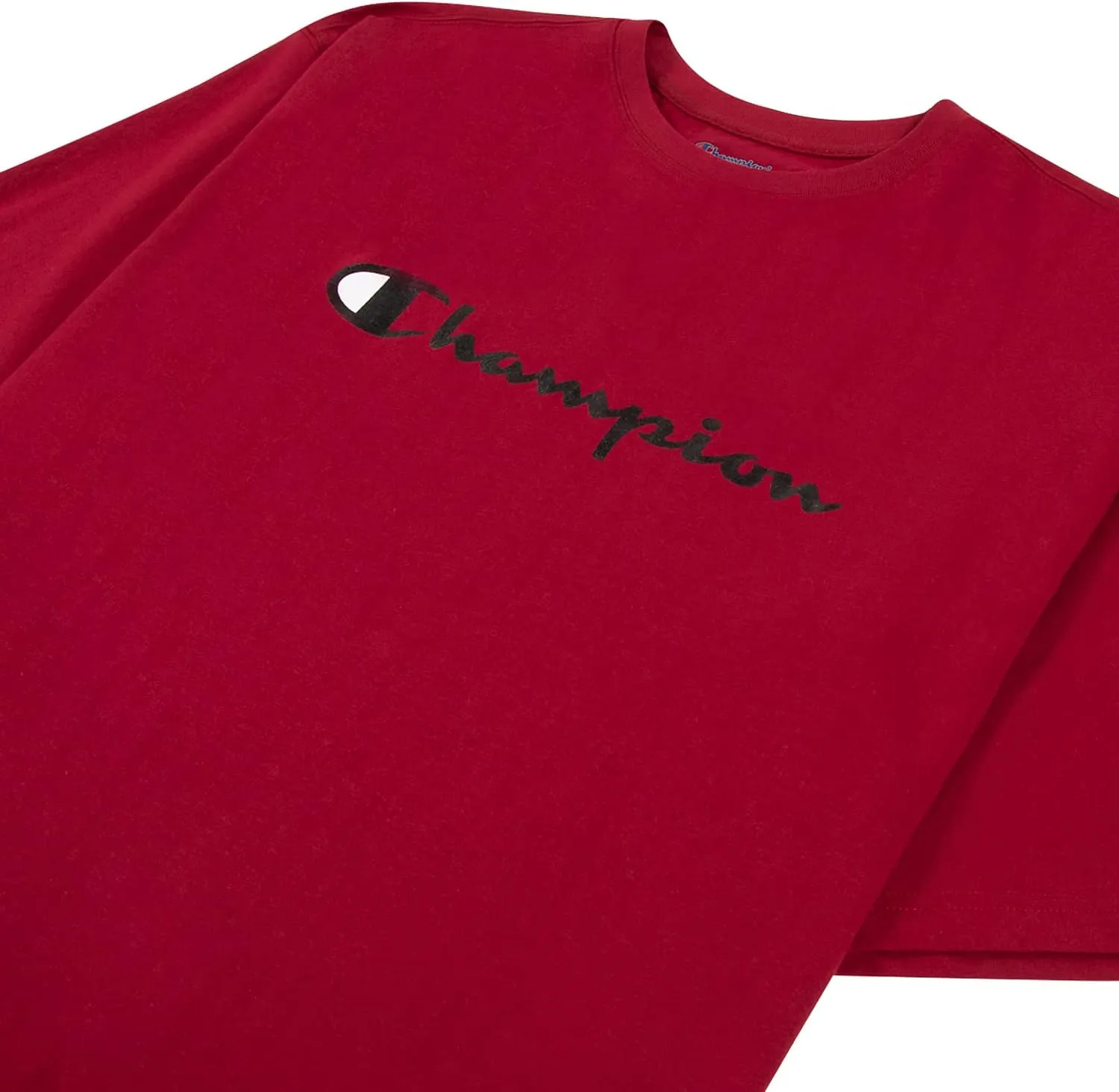 Champion Hoodie and T Shirt Big and Tall 2 Pack - Pullover Sweatshirt & Tee Pack