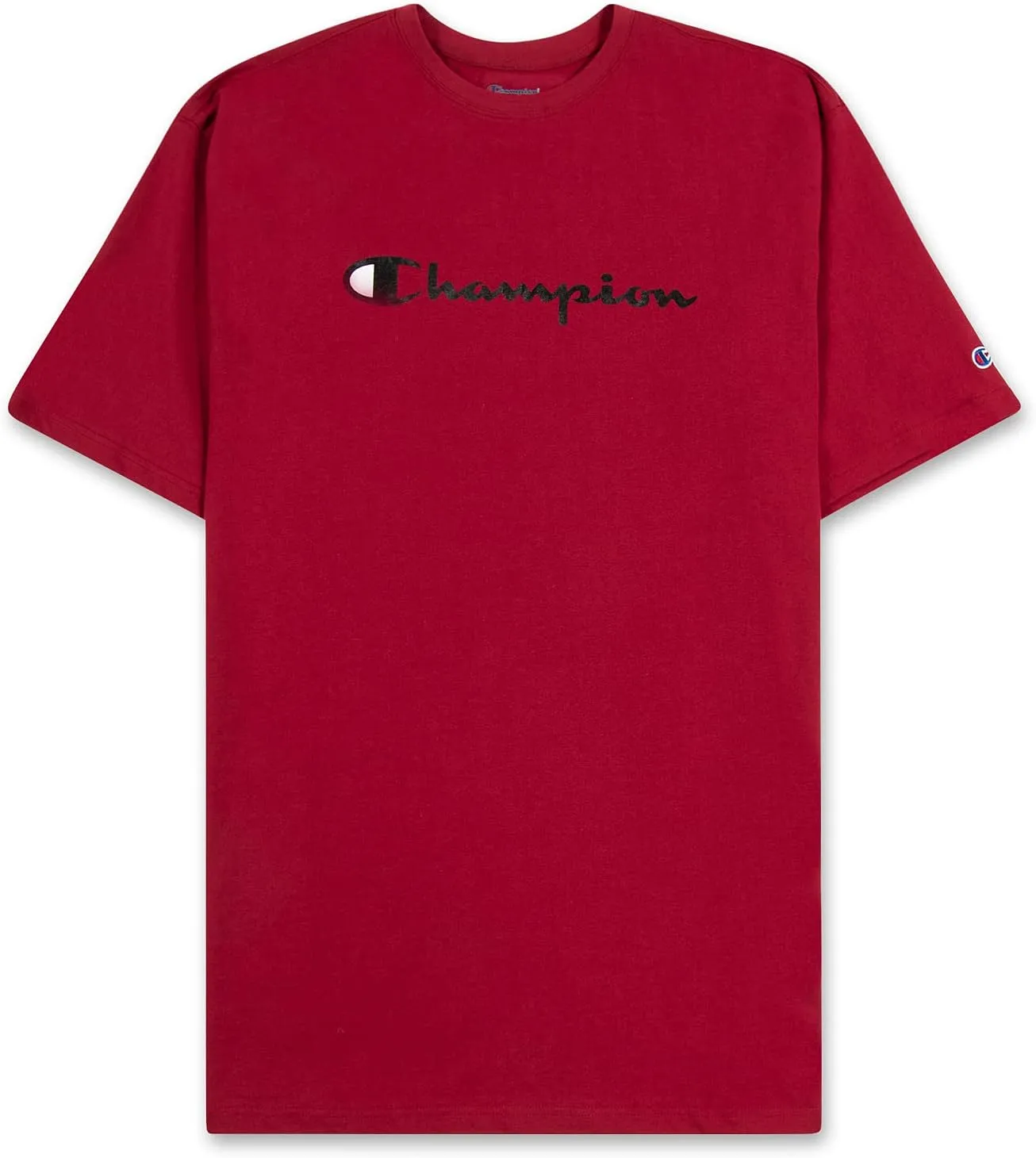 Champion Hoodie and T Shirt Big and Tall 2 Pack - Pullover Sweatshirt & Tee Pack